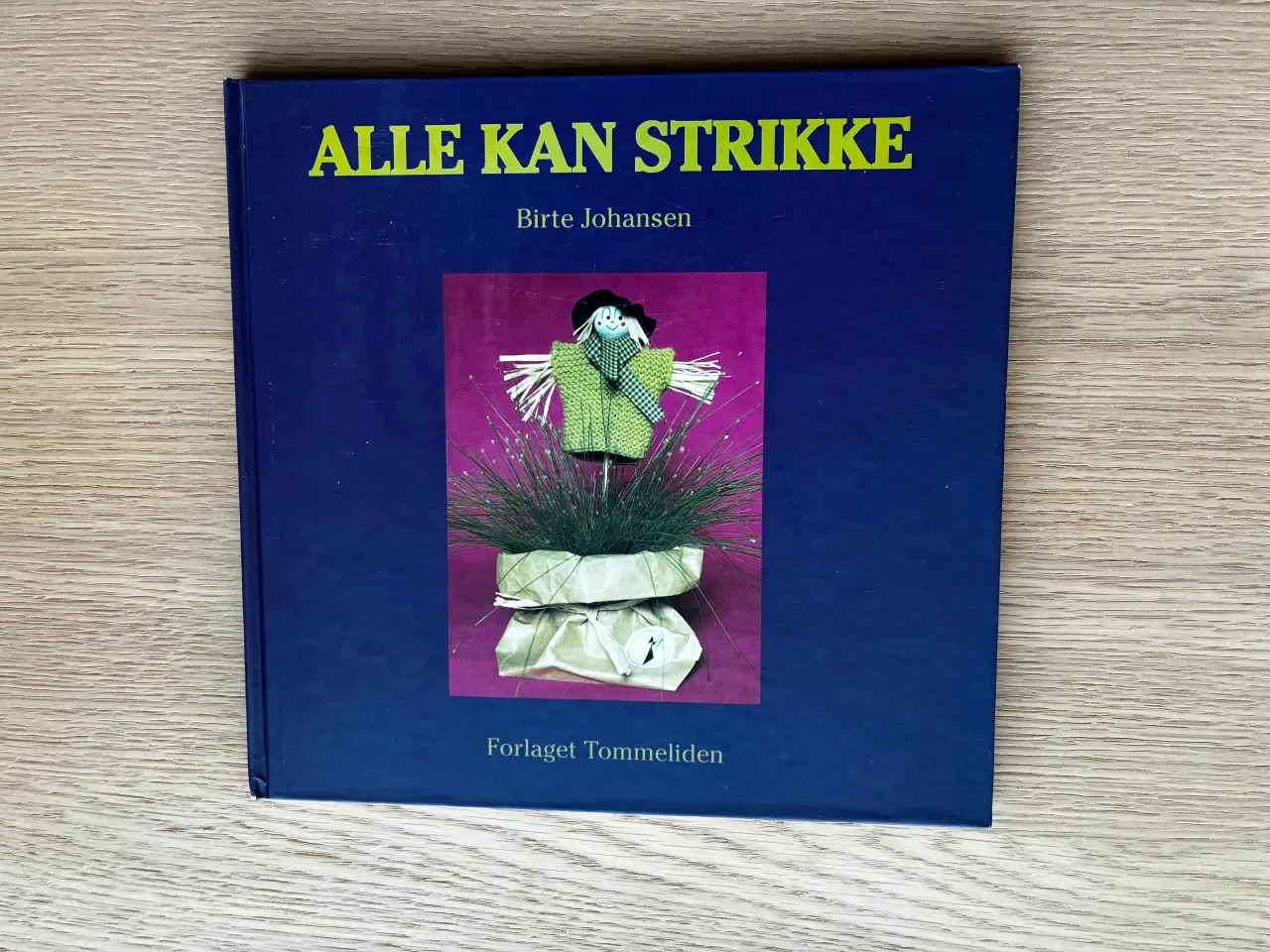 Billede 1 - ALLE KAN STRIKKE   af Birte Johansen