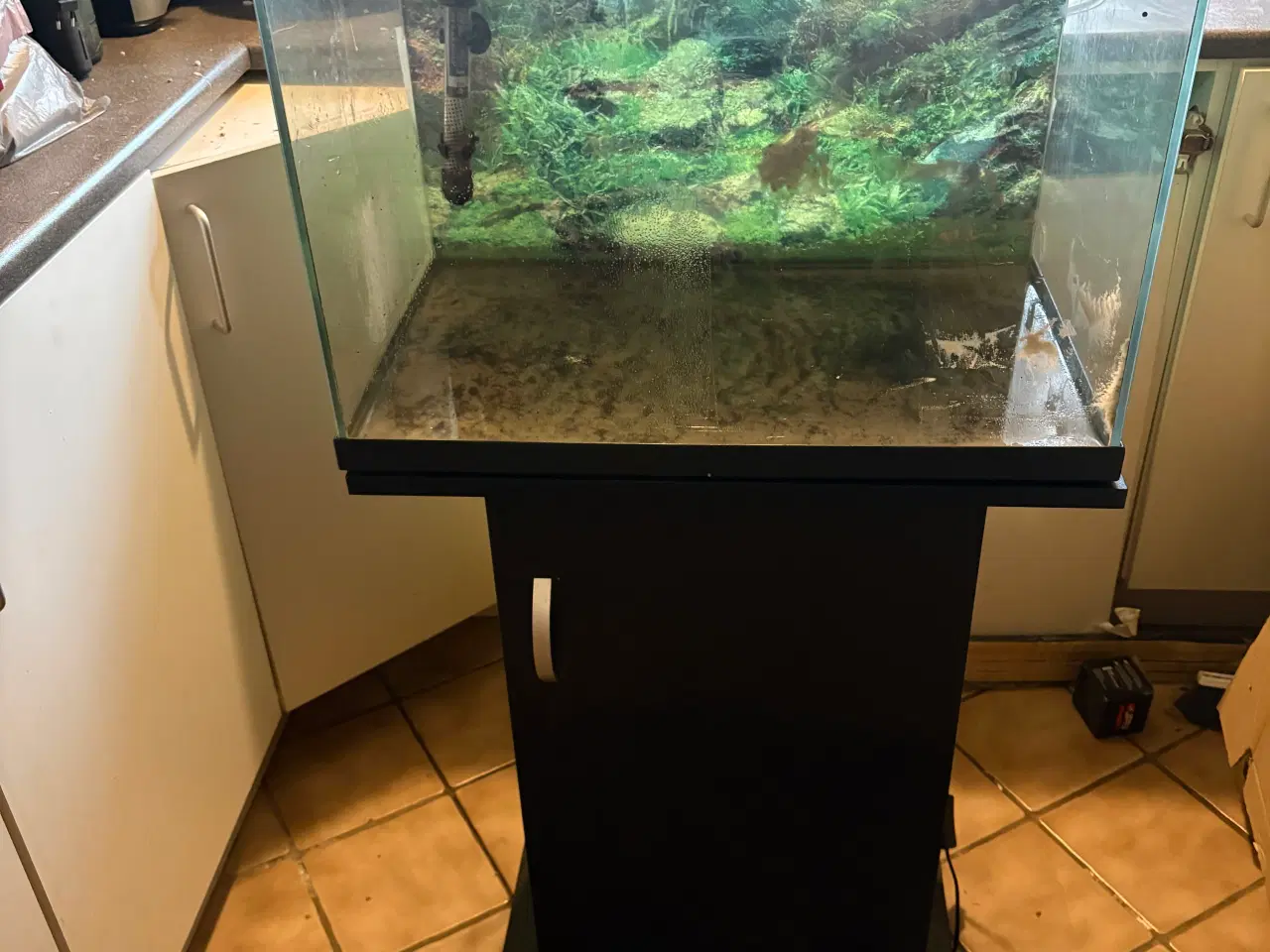 Billede 1 - 90 liters akvarium med bord 