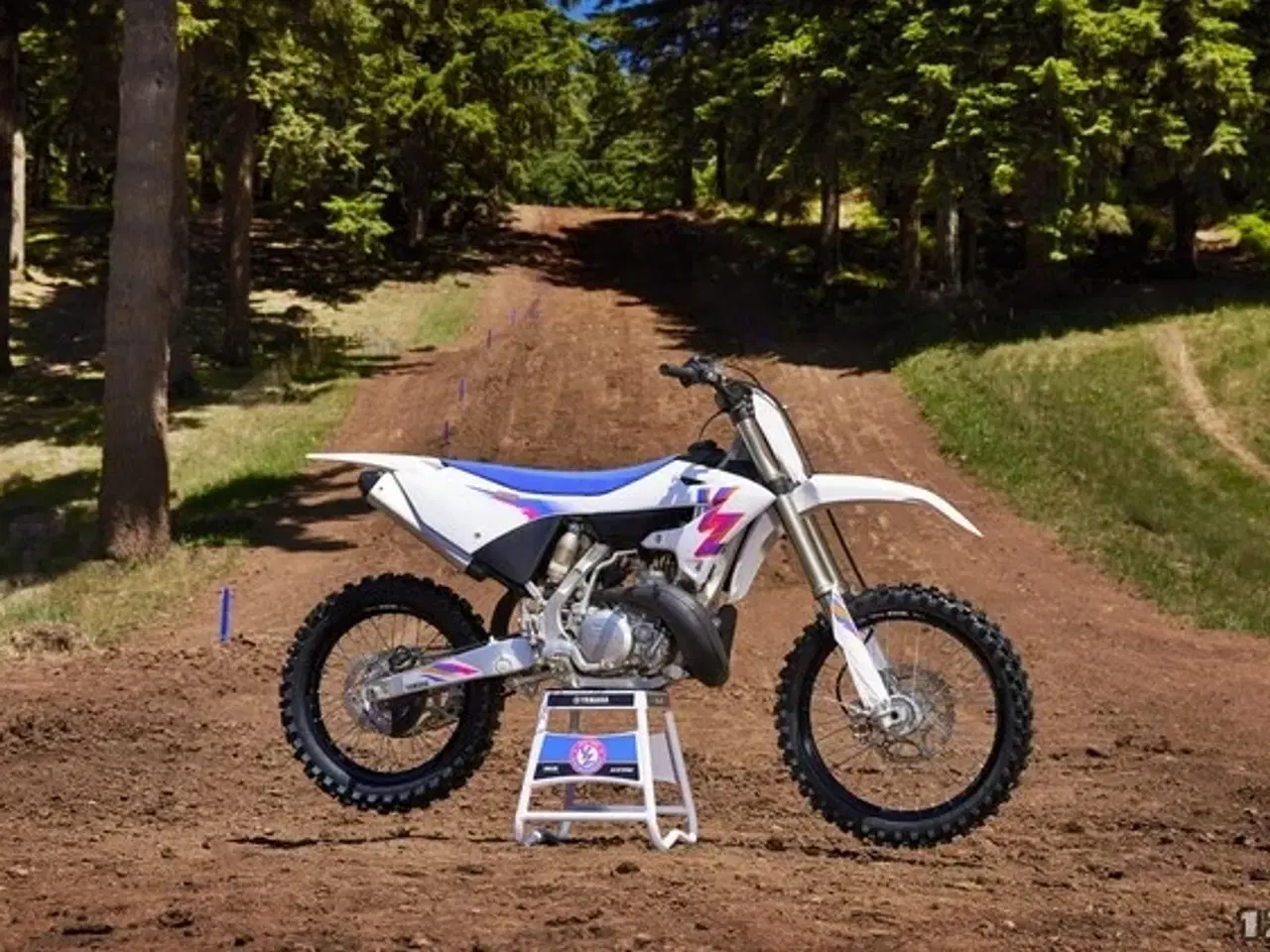 Billede 21 - Yamaha YZ 250 F 50th Anniversary Edition