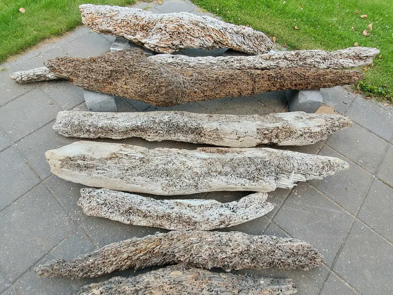 Billede 3 - Drivtømmer 