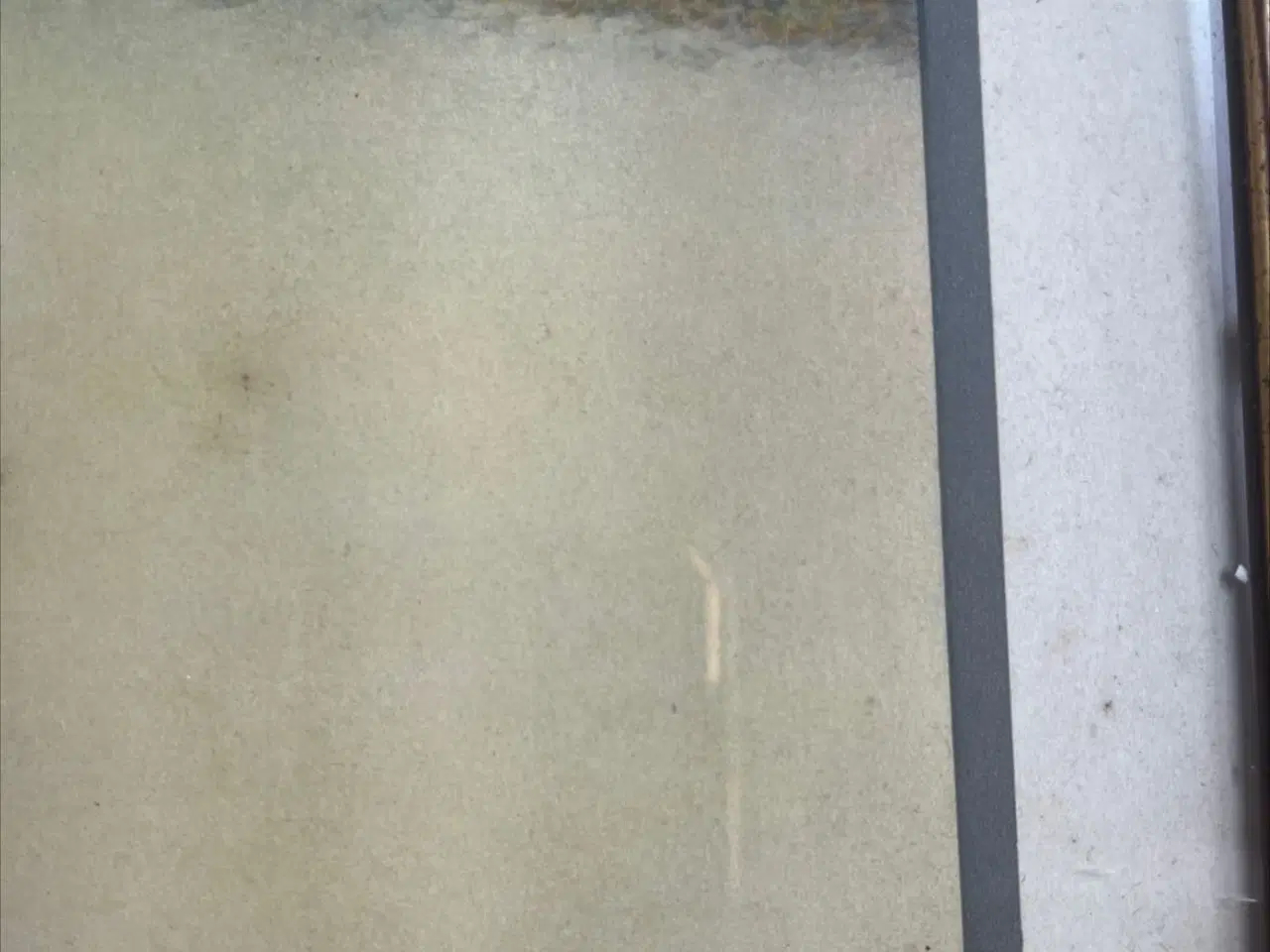 Billede 4 - Fotografi af Christian d.10 til hest