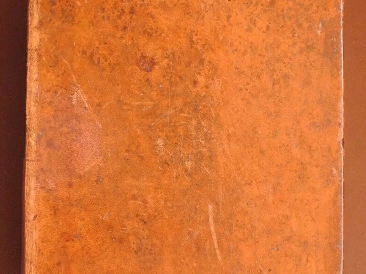 Billede 2 - bibelen. 1884