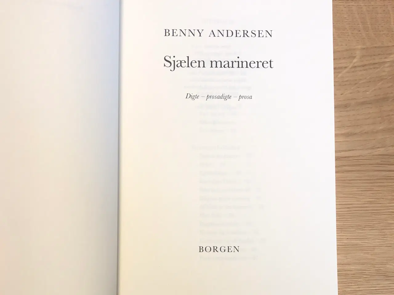 Billede 2 - Benny Andersen: Sjælen marineret.