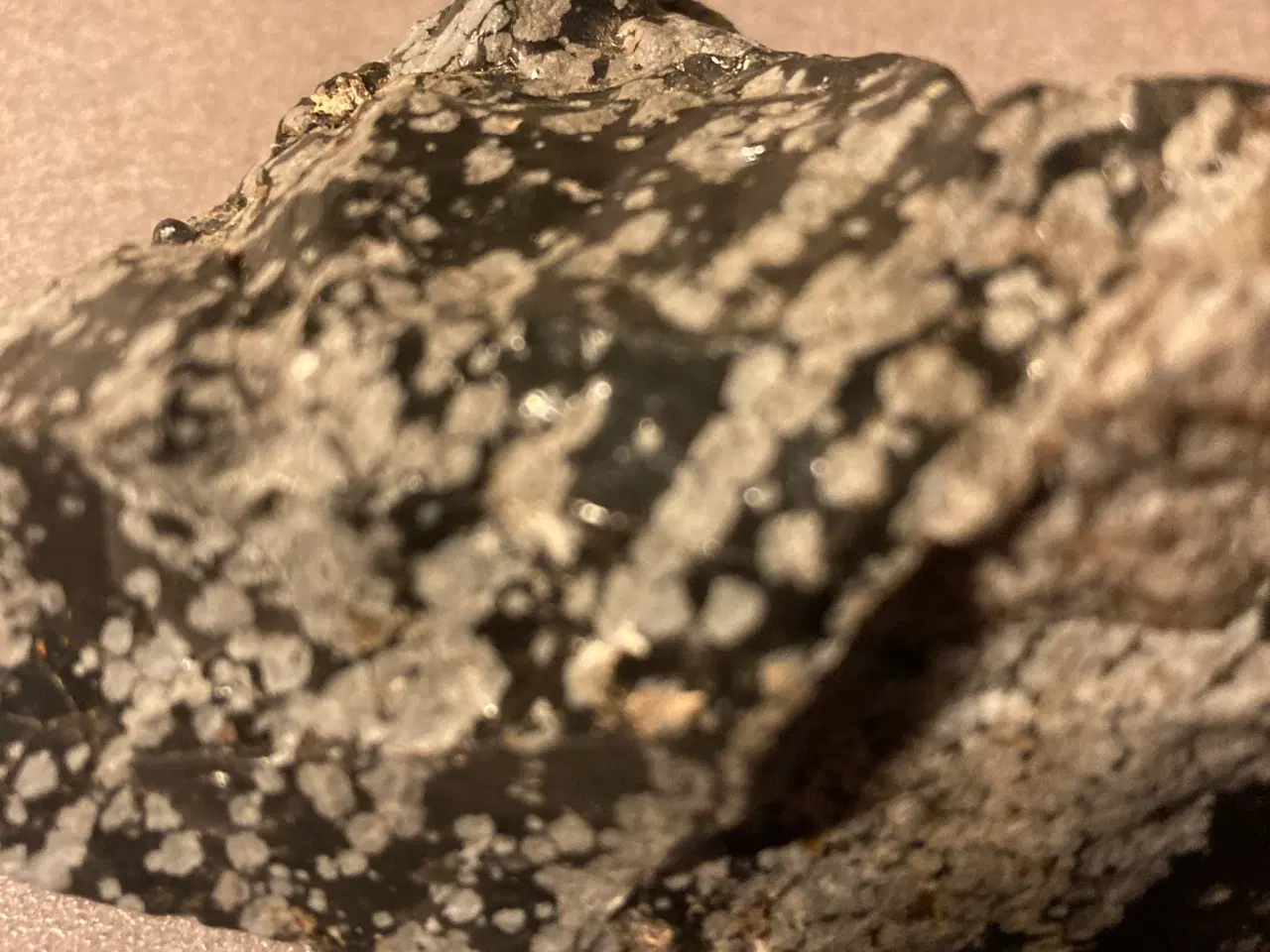 Billede 1 - Snowflake obsidian sten