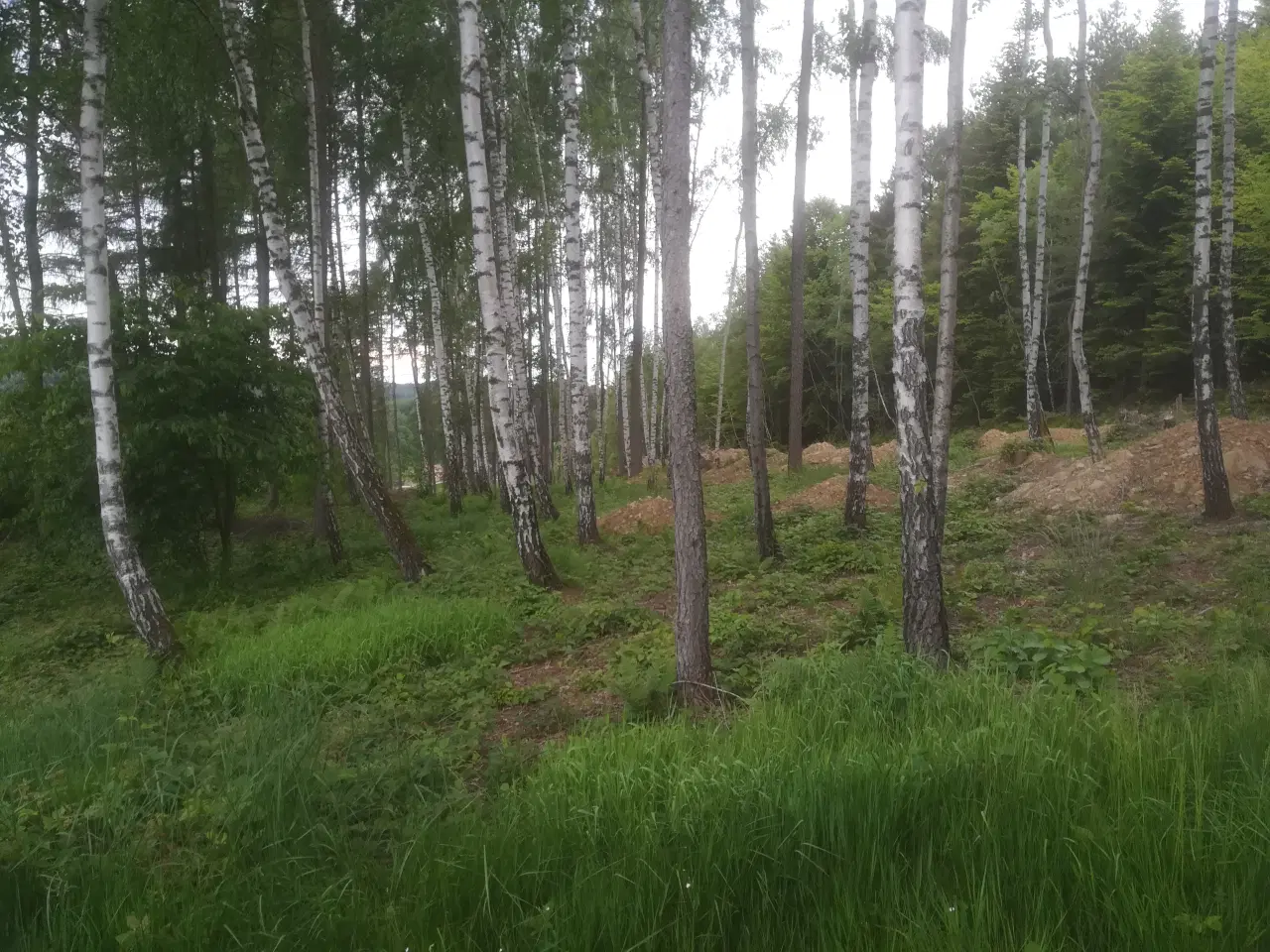 Billede 1 - Havefirma Belægning Hække Trækonstruktion Gravemas