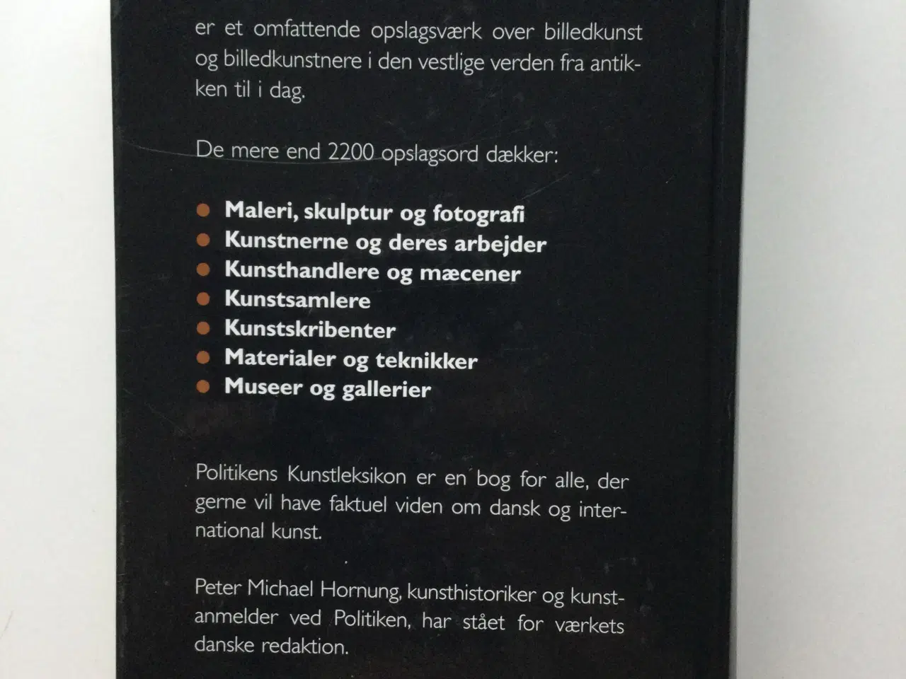 Billede 2 - Politikens kunstleksikon