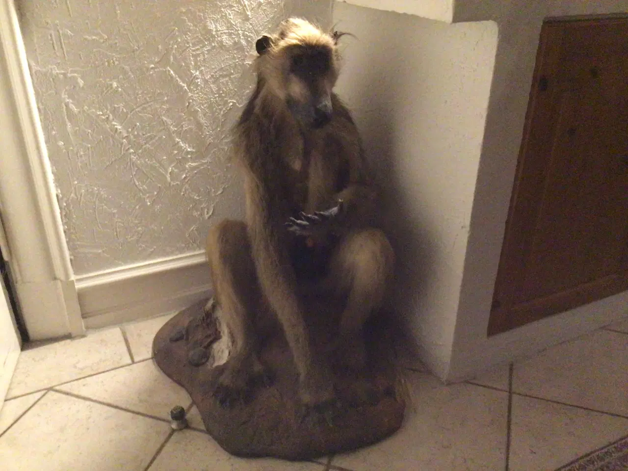 Billede 6 - ELG ulige 7takker 