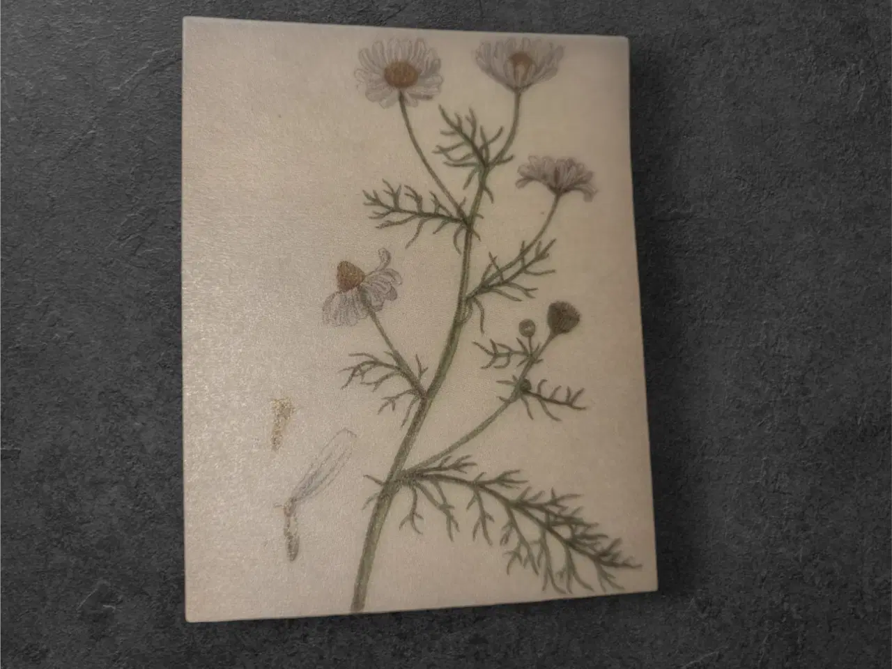 Billede 1 - Fortryllende papir til kreative projekter