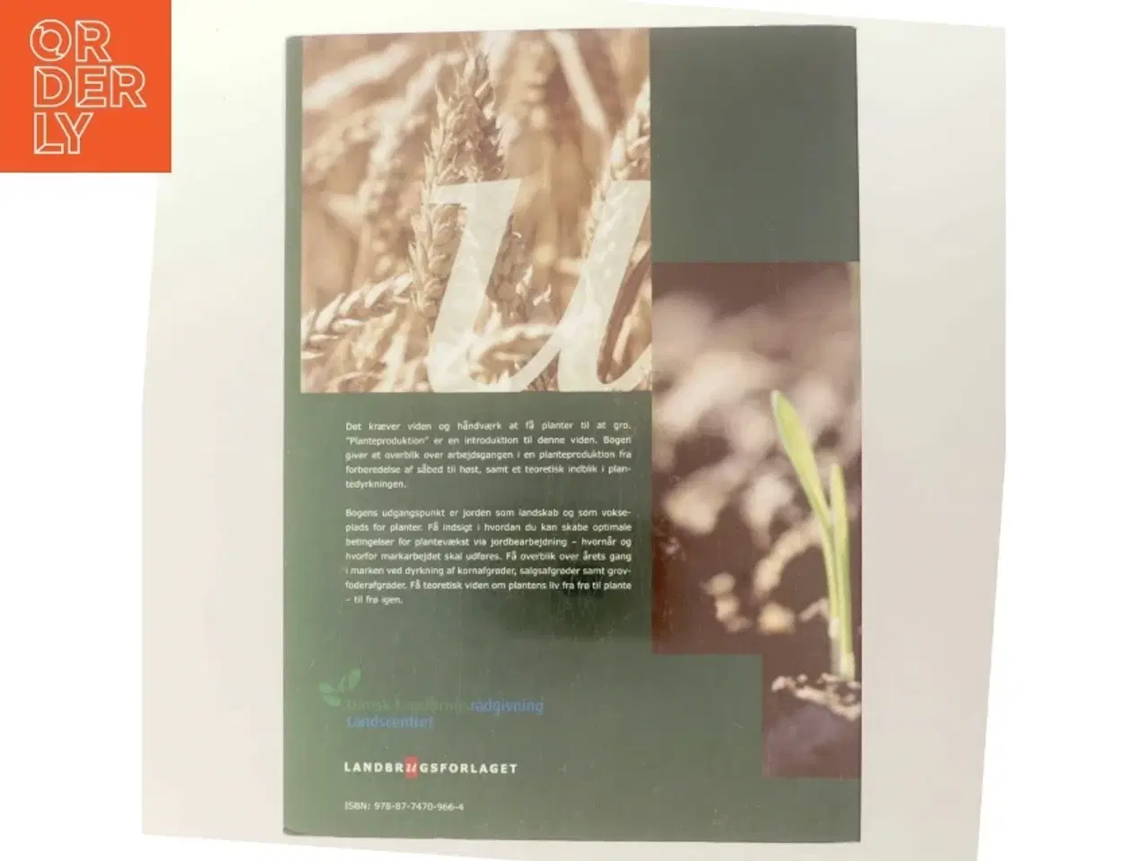Billede 3 - Planteproduktion af Dansk Landbrugsrådgivning Landscentret (Bog)