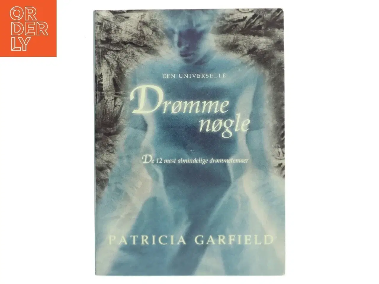 Billede 1 - Den universelle drømmenøgle af Patricia L. Garfield (Bog)