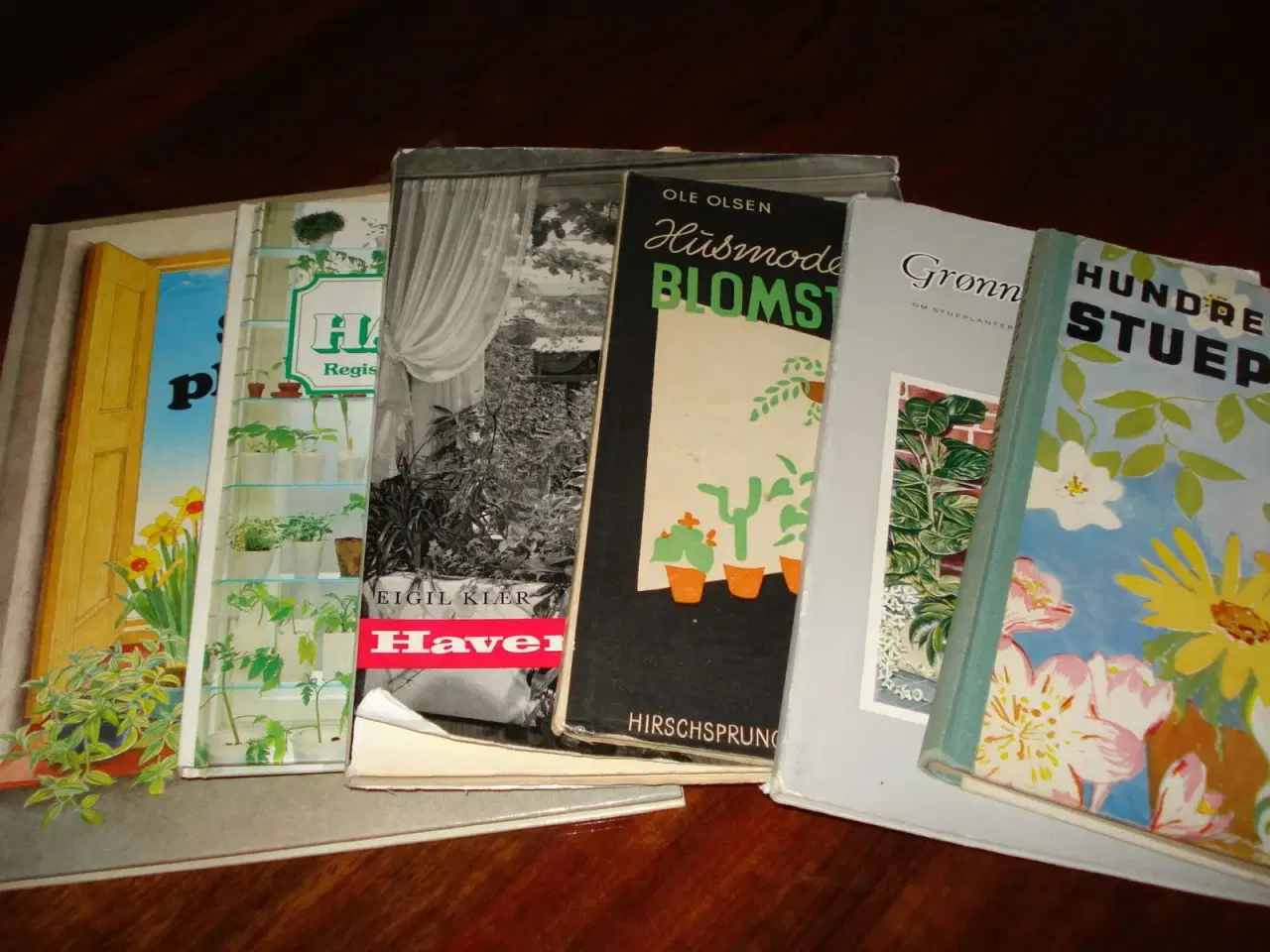 Billede 1 - Stueplanter. 6 bøger