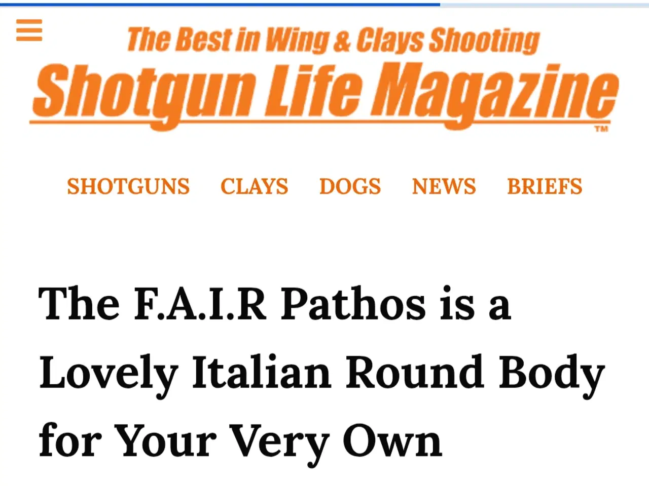 Billede 10 - Pathos gamegun 12/76