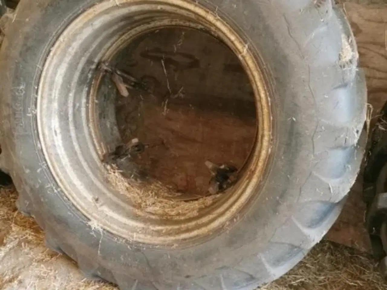 Billede 2 - Alliance 16/9 R 34