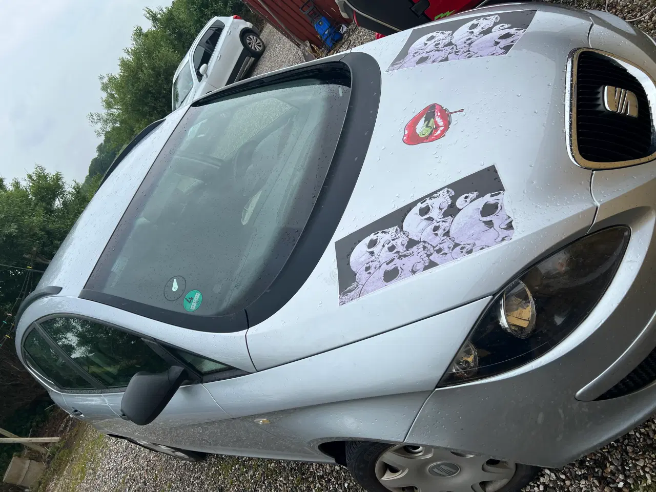 Billede 4 - Seat alter xl