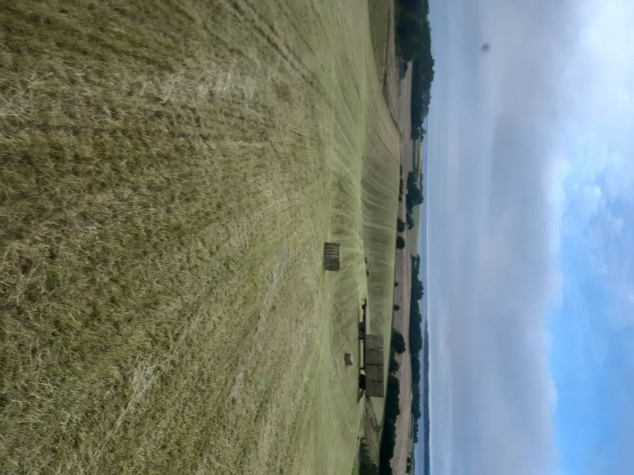 Billede 1 - Hø lavet på heste blanding