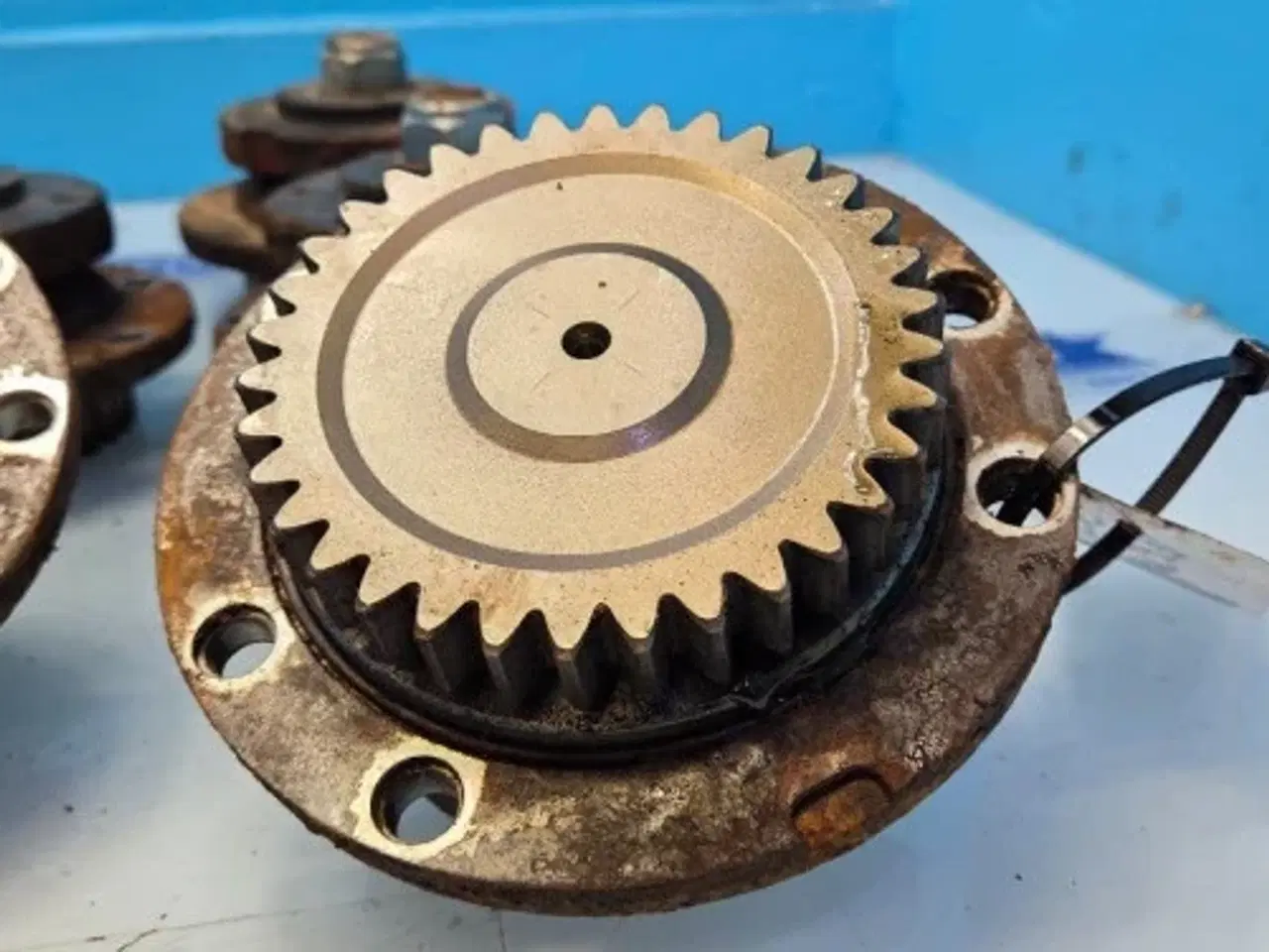 Billede 5 - GXT 13005   Lejehus  3085705X   8STK