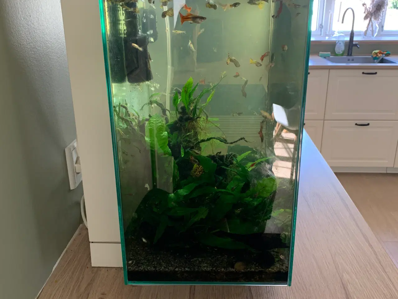 Billede 3 - Akvarie 40l. 