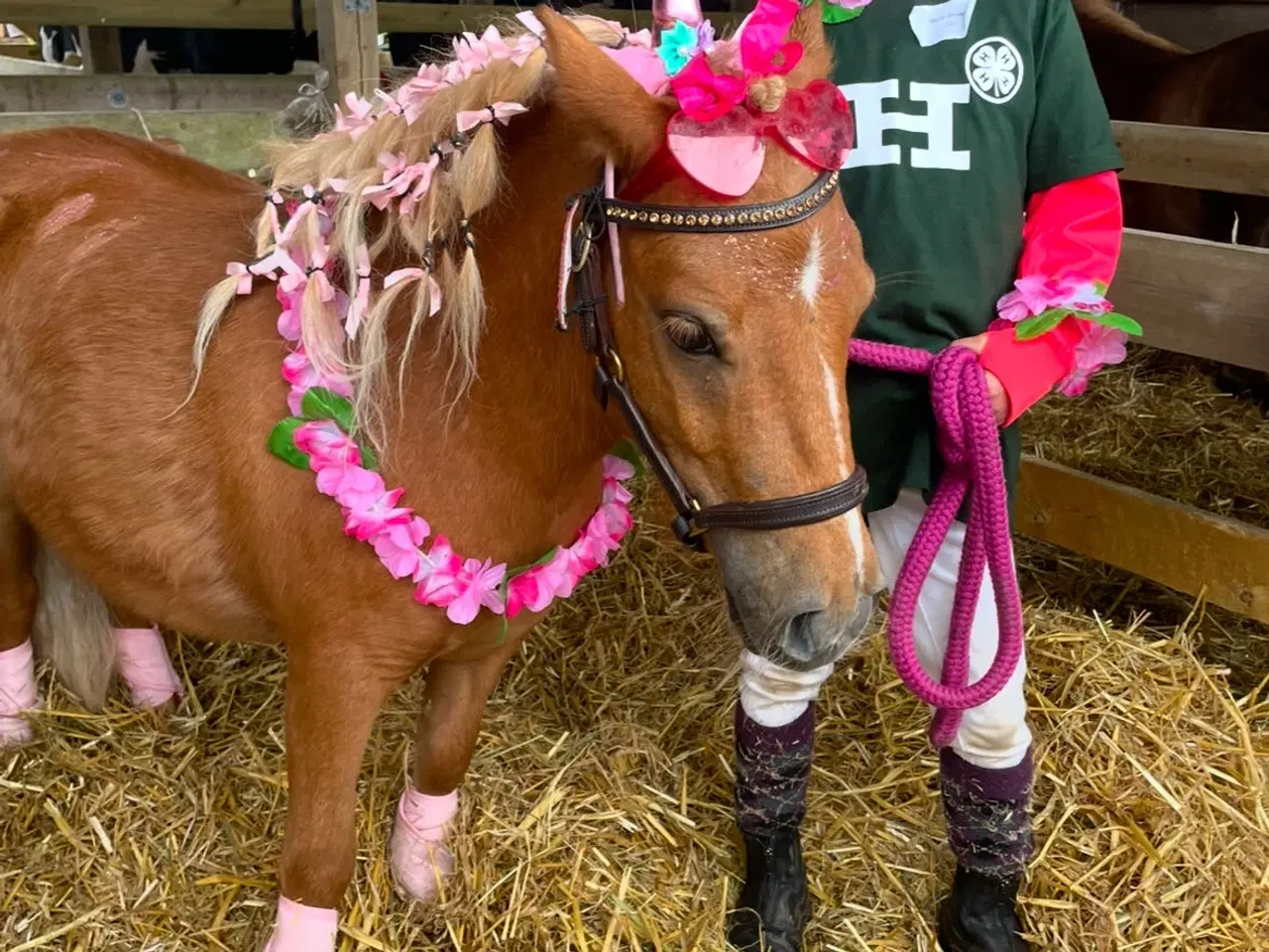 Billede 4 - Sødeste lille Pony tilsalg