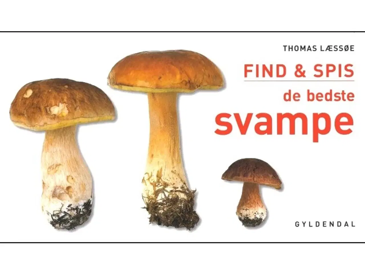 Billede 1 - Find & spis de bedste Svampe