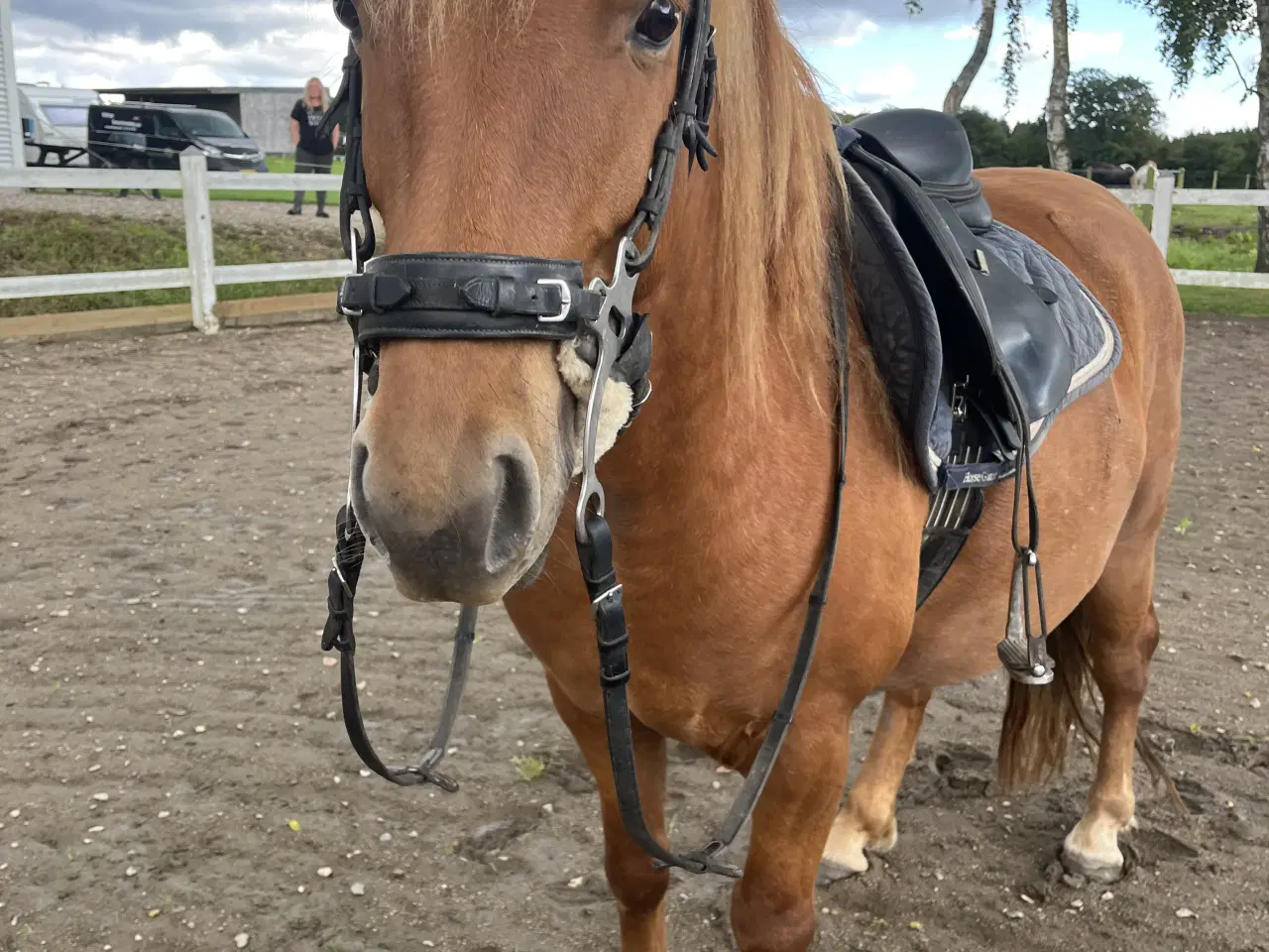 Billede 10 - Hurtigt salg ønskes 