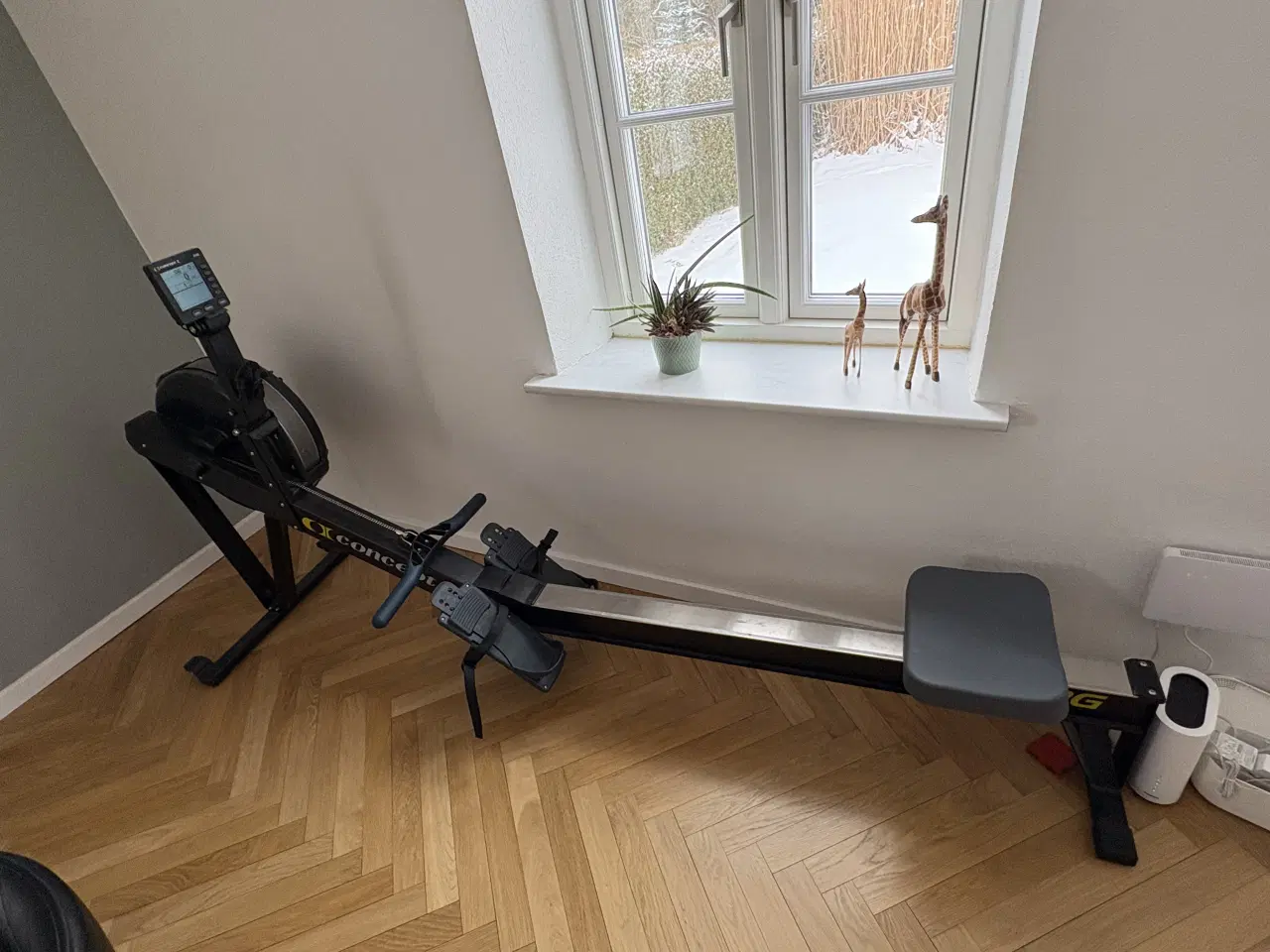 Billede 1 - Concept 2 PM5