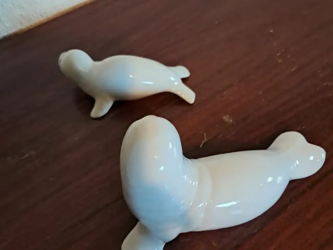 Billede 3 - Sælepar