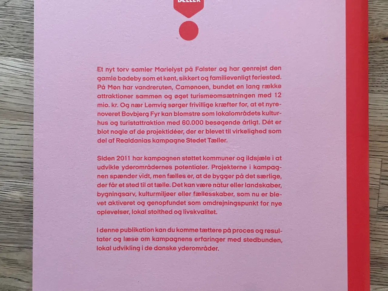 Billede 2 - Stedet tæller Perspektiver og erfaringer