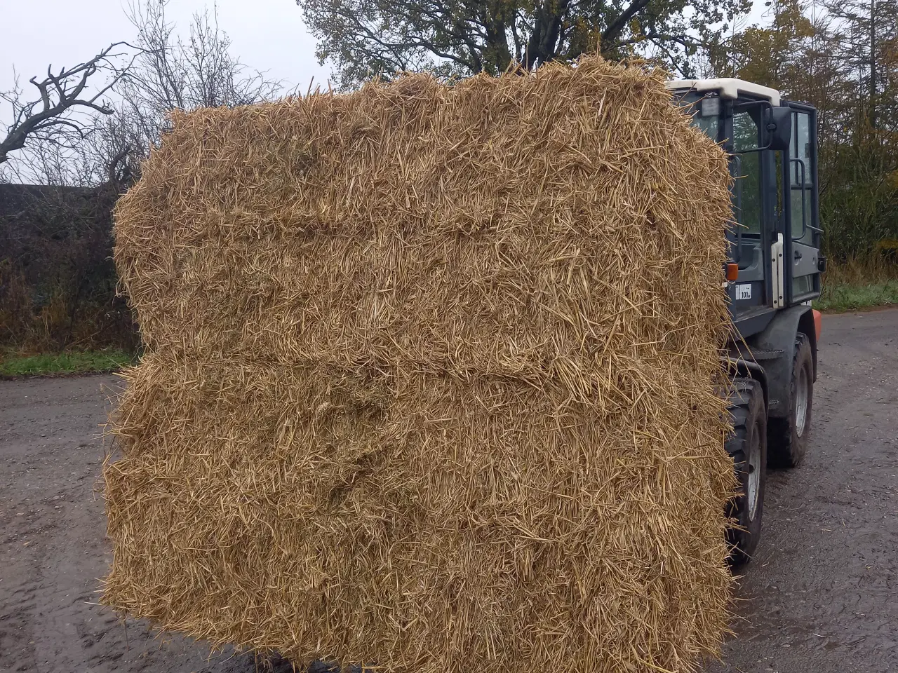 Billede 2 - Rug Halm I minbig 190 cm lang