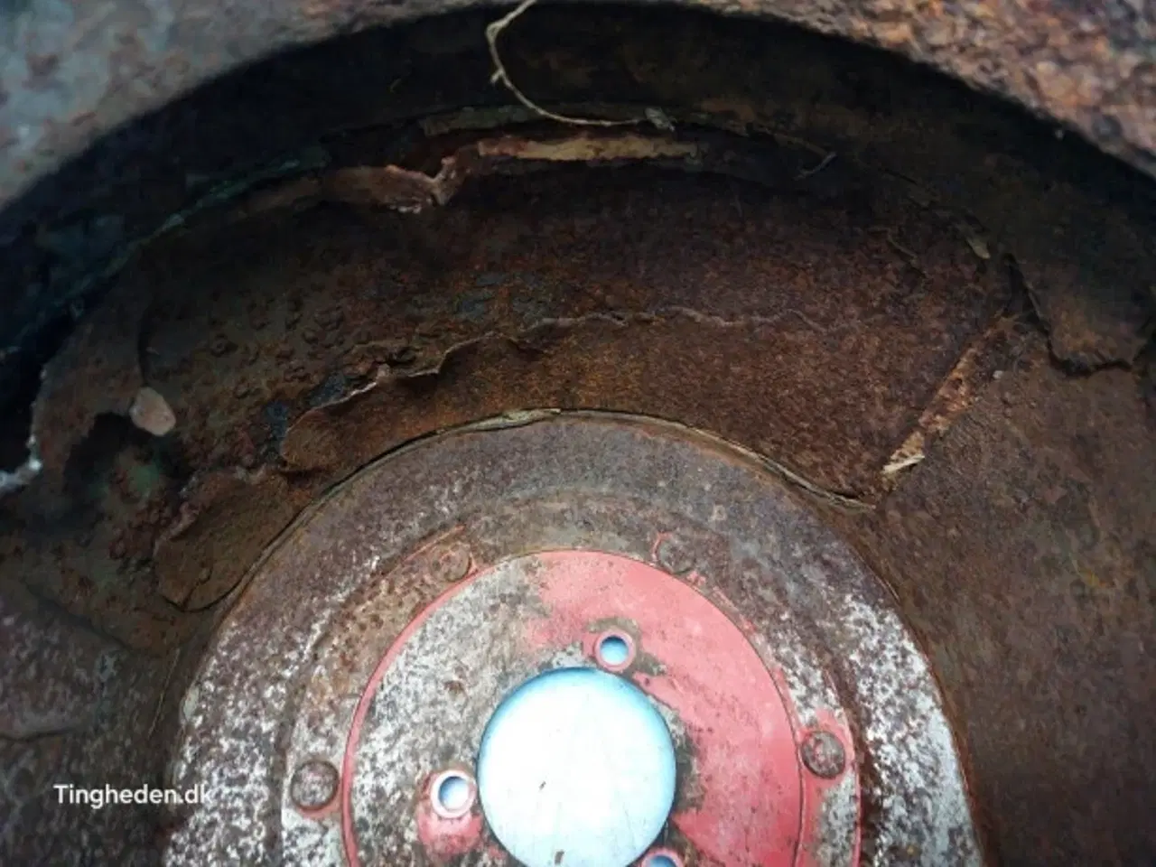 Billede 6 - Massey Ferguson 32 Elevatorbund 28580048