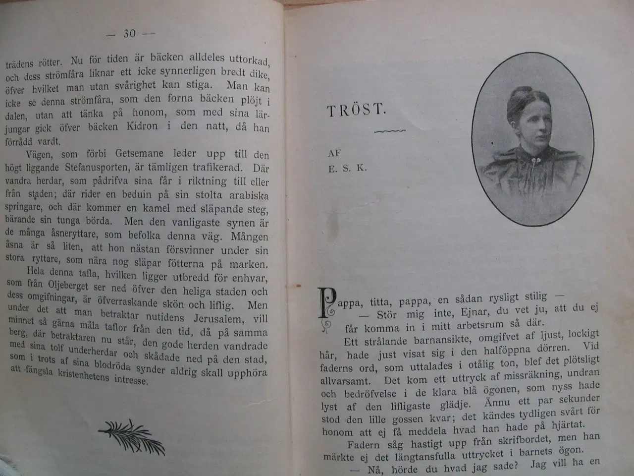 Billede 4 - Diverse svenske forfattere. Vintersol 1899