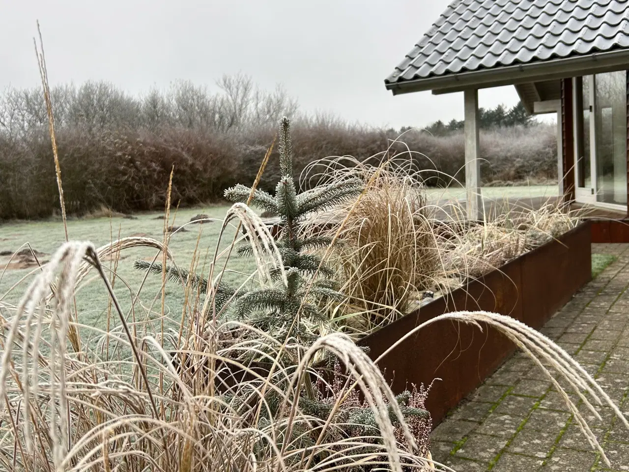 Billede 2 - Vinter- eller påskeferie i sommerhus?