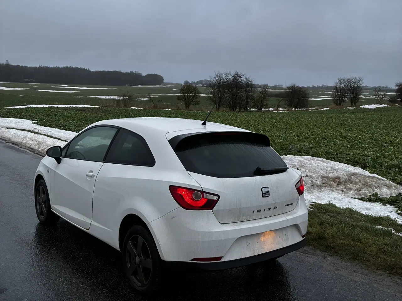 Billede 4 - Seat Ibiza 1,4 TDI 2010