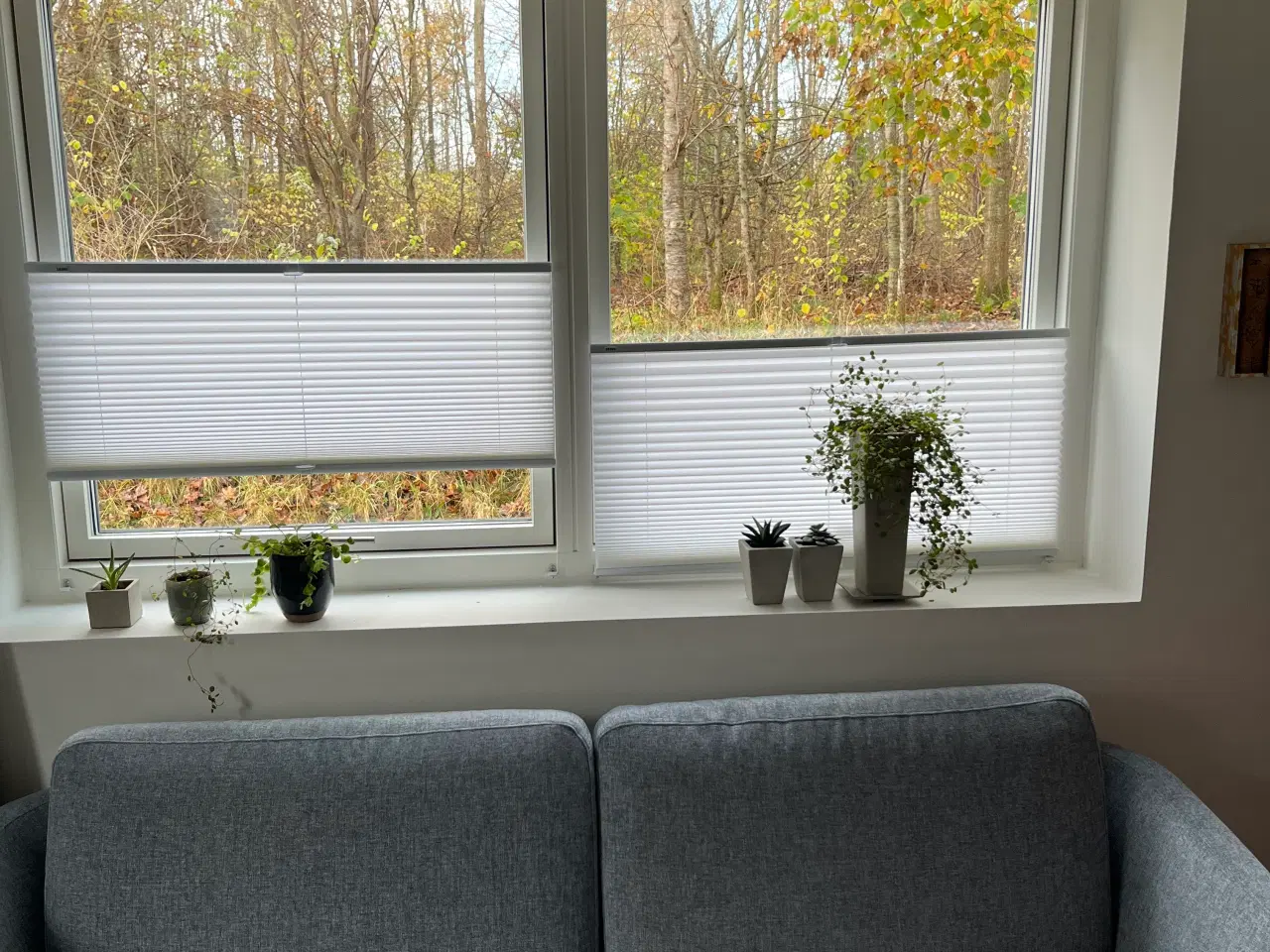 Billede 1 - Debel plissegardin Flex - 90 x 130