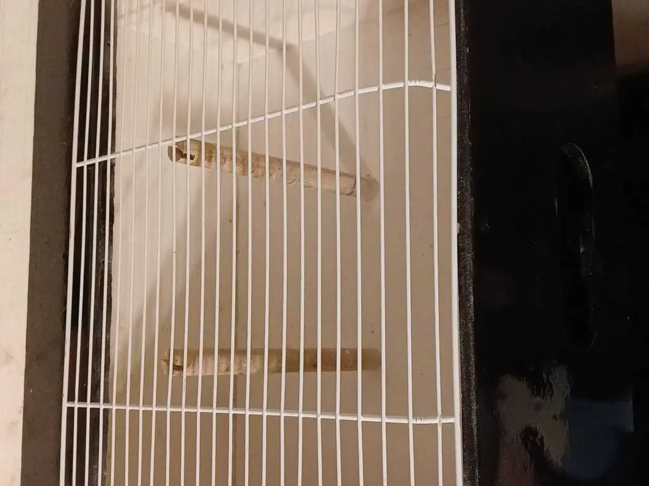 Billede 1 - Transport bur/ fuglebur 