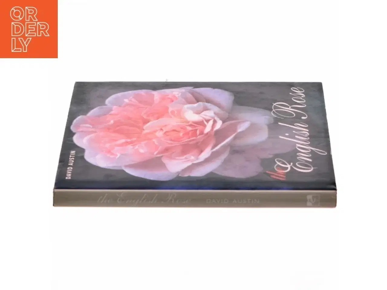 Billede 2 - The English rose af David Austin