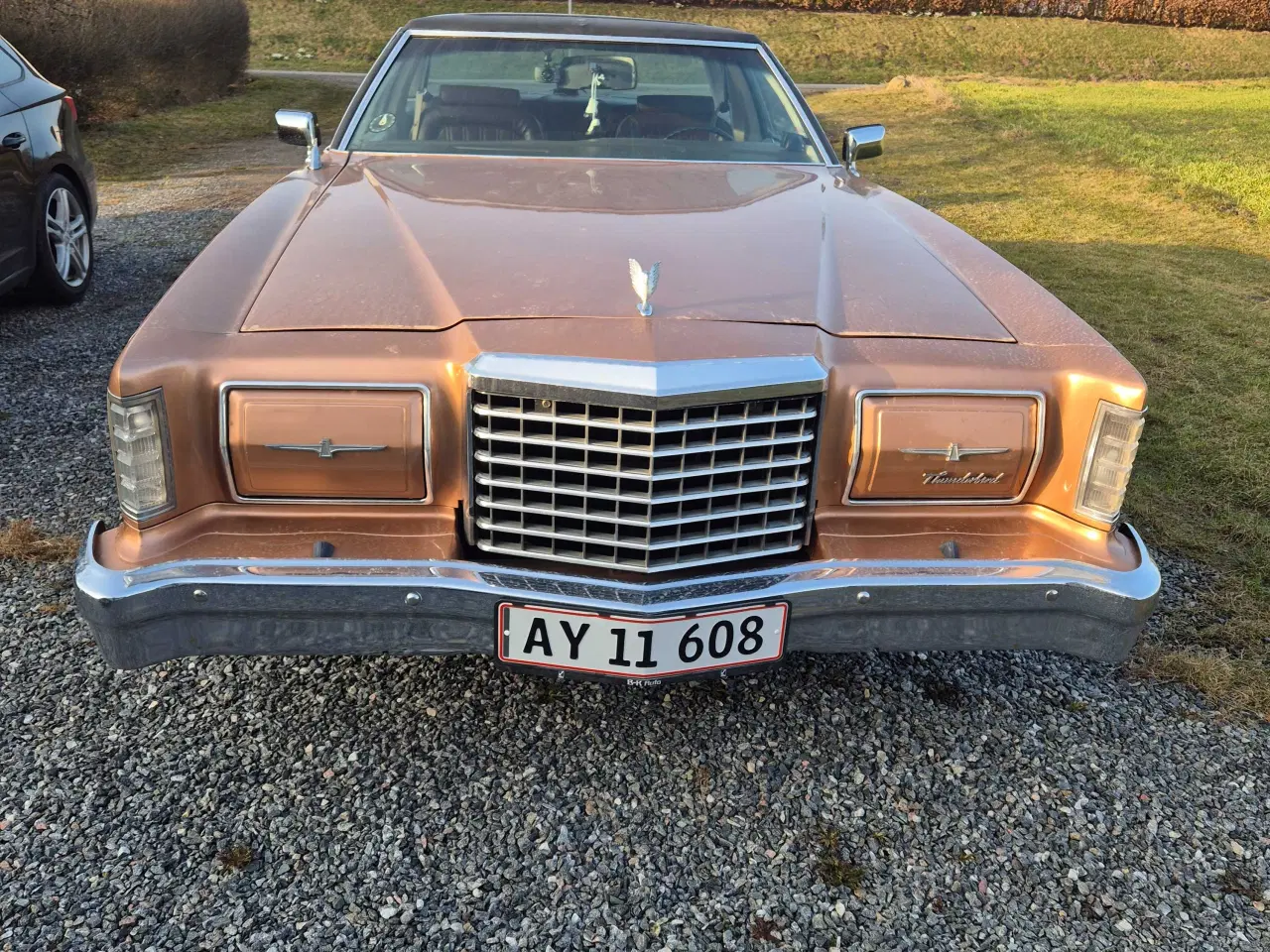 Billede 3 - Rigtig fin Ford Tunderbird 