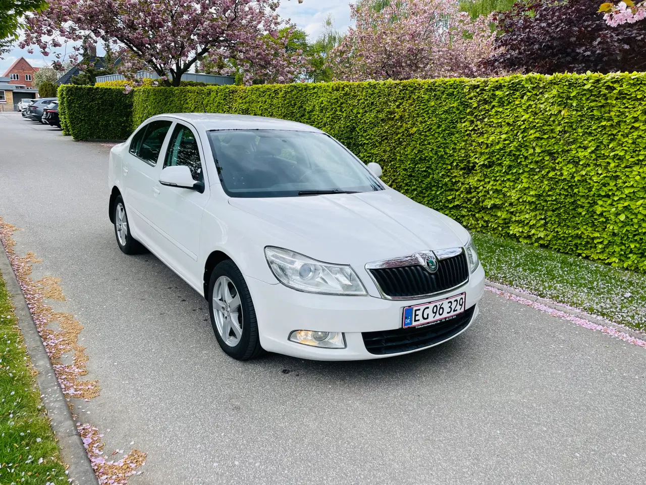 Billede 2 - Nysynet Skoda Octavia 1.6 tdi