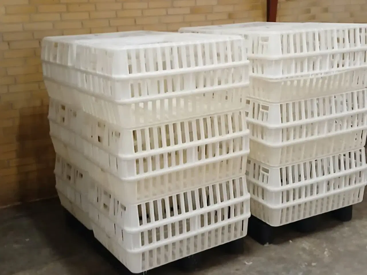 Billede 1 - Reinders Model 477 transport kasse til fjerkræ