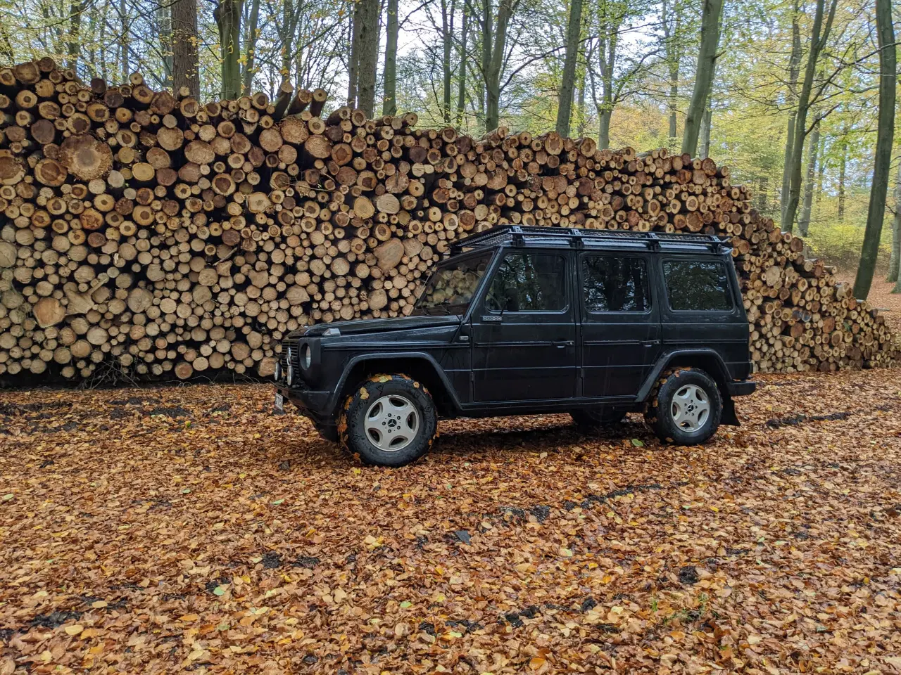 Billede 6 - G Wagon veteran