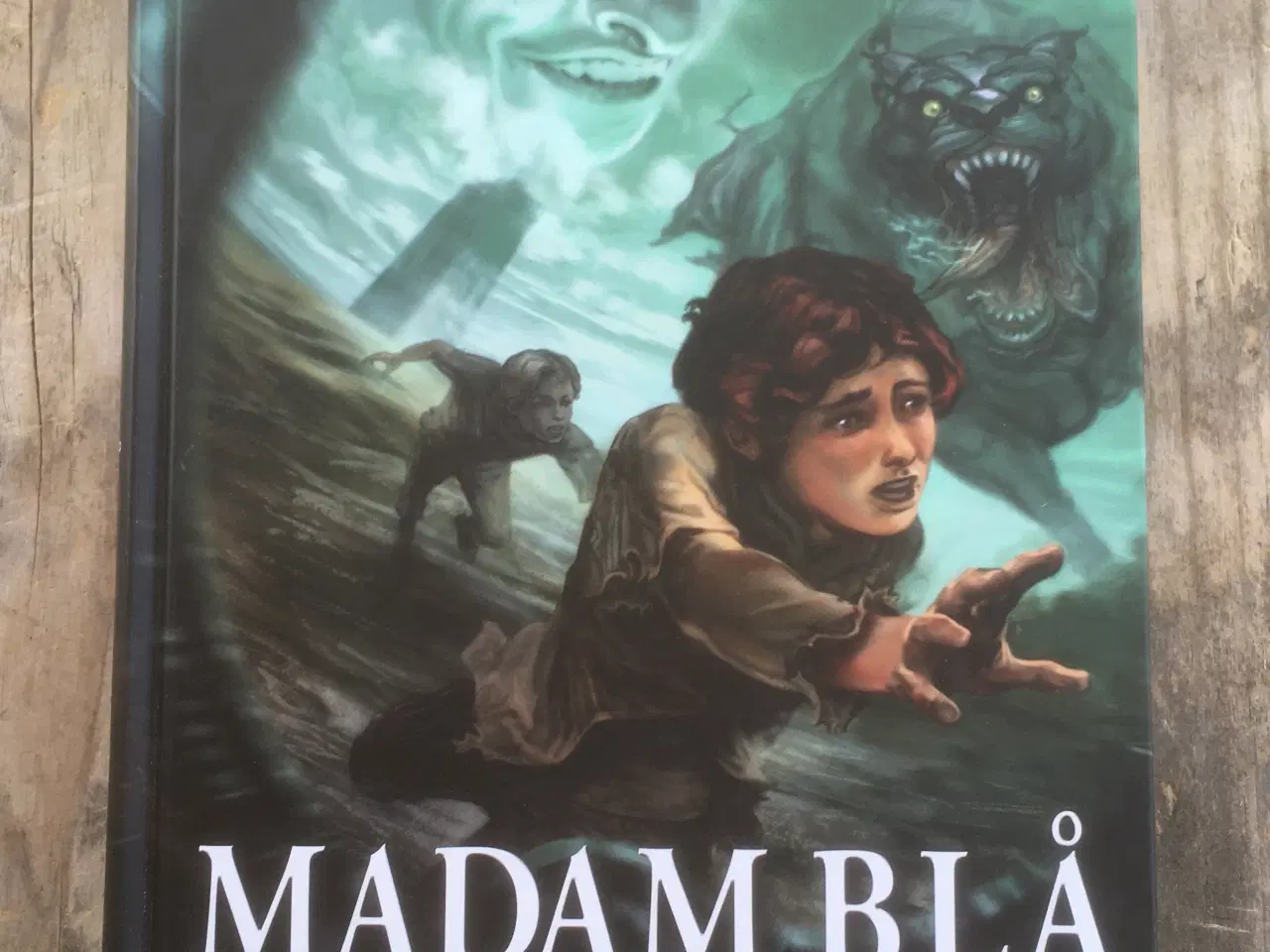 Billede 1 - Madam Blå og Svinehunden, Sally Altschuler