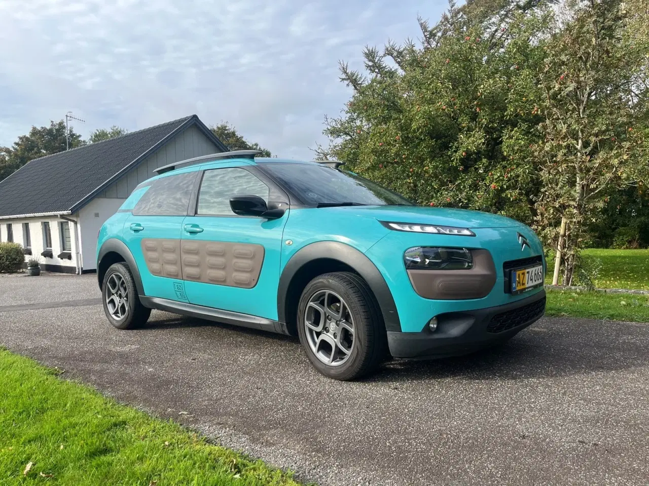 Billede 3 - Citroën C4 Cactus 1,6 BlueHDi 100 Shine ETG6 Van