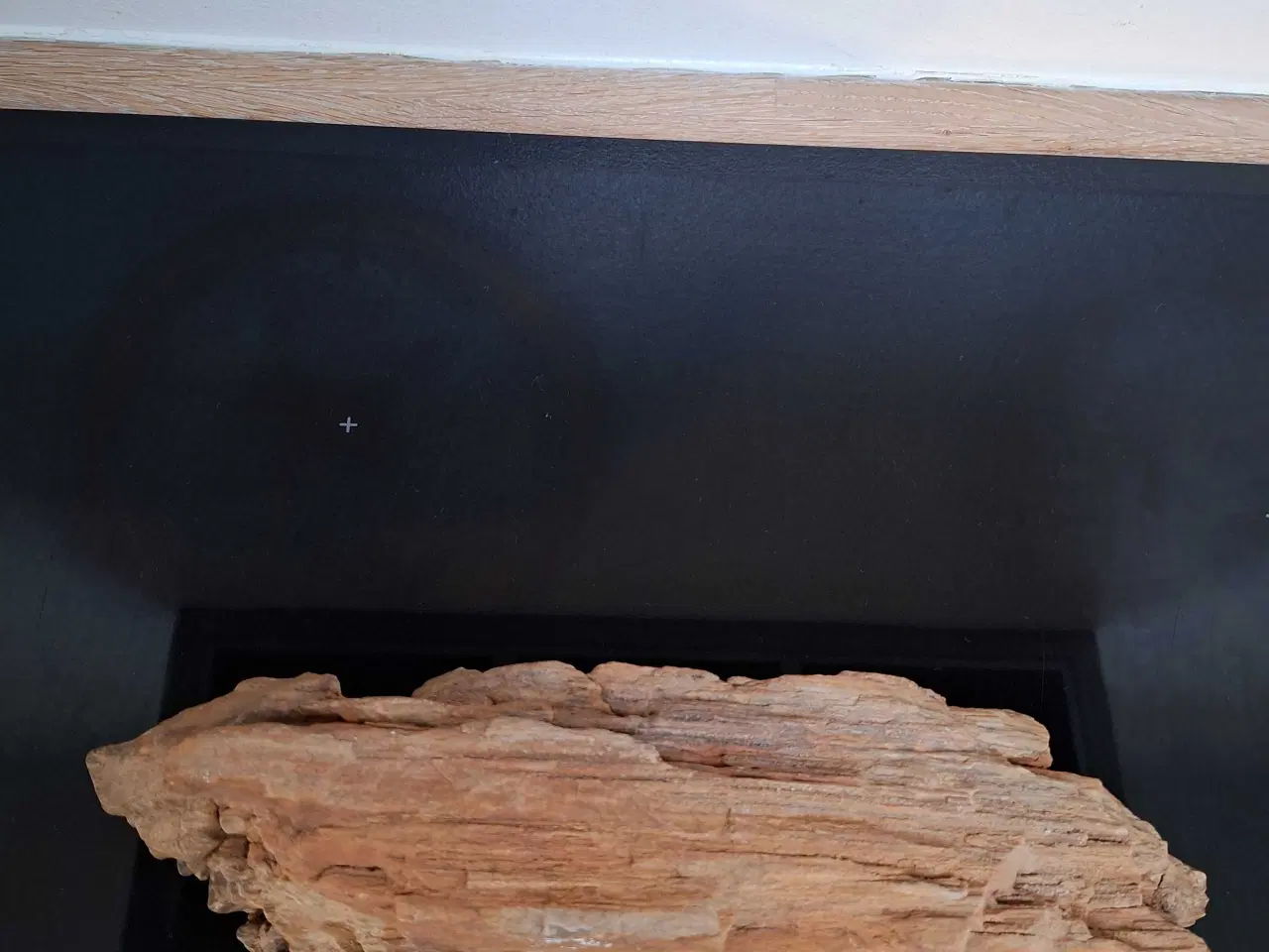 Billede 6 - Forstenet træ