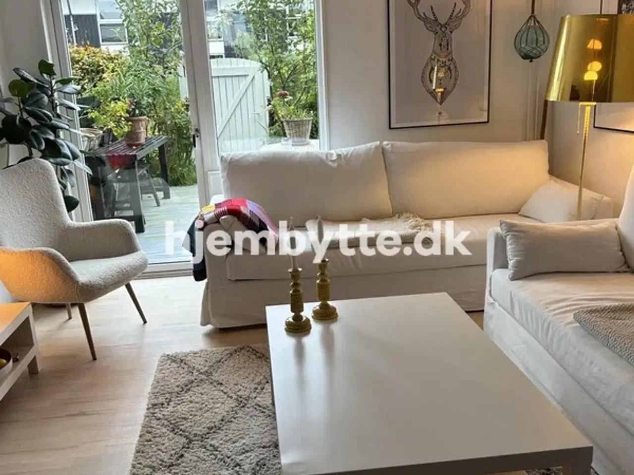 Billede 1 - Hjembytte - Hyldemosen