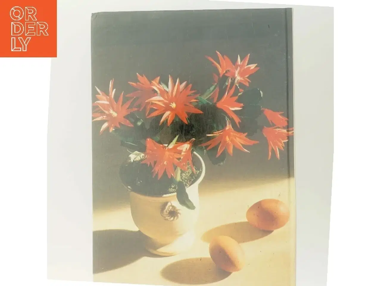 Billede 3 - Forår i huset (Bog)