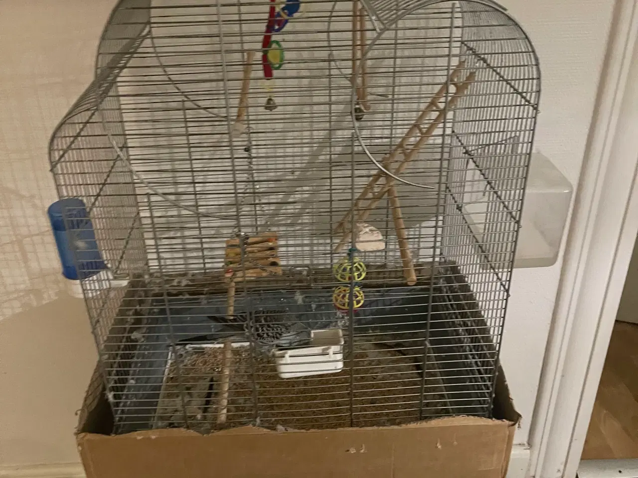 Billede 1 - tam undulat 