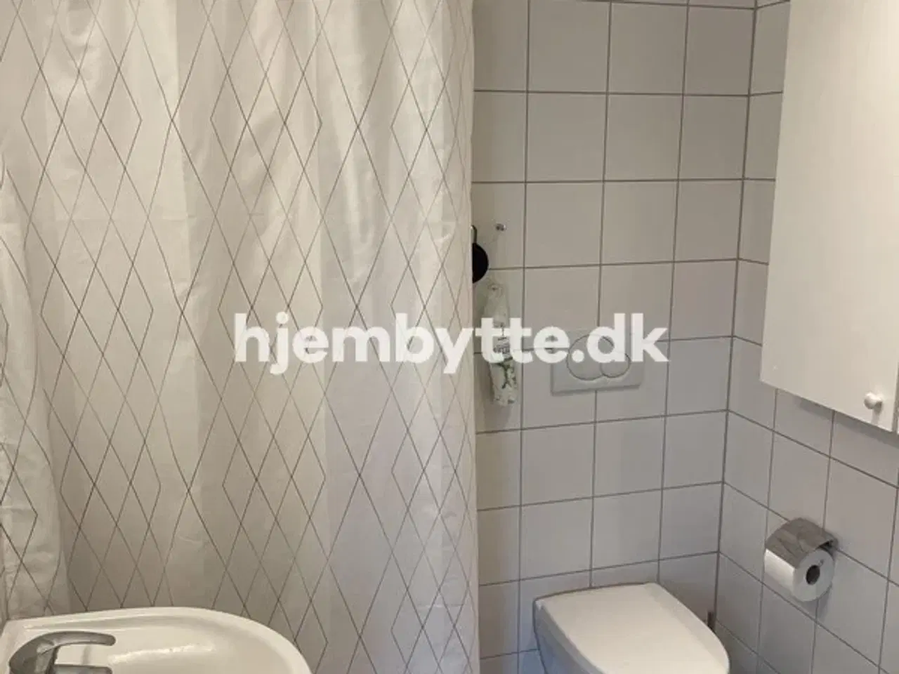 Billede 19 - Hjembytte - Enebærstien