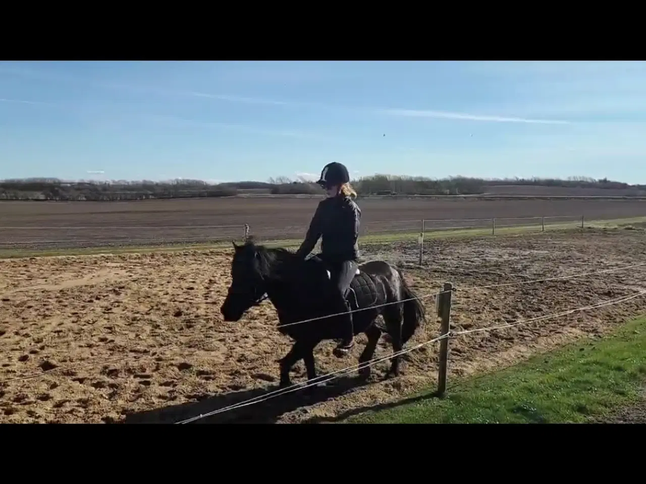 Billede 2 - Sød og ung lll pony