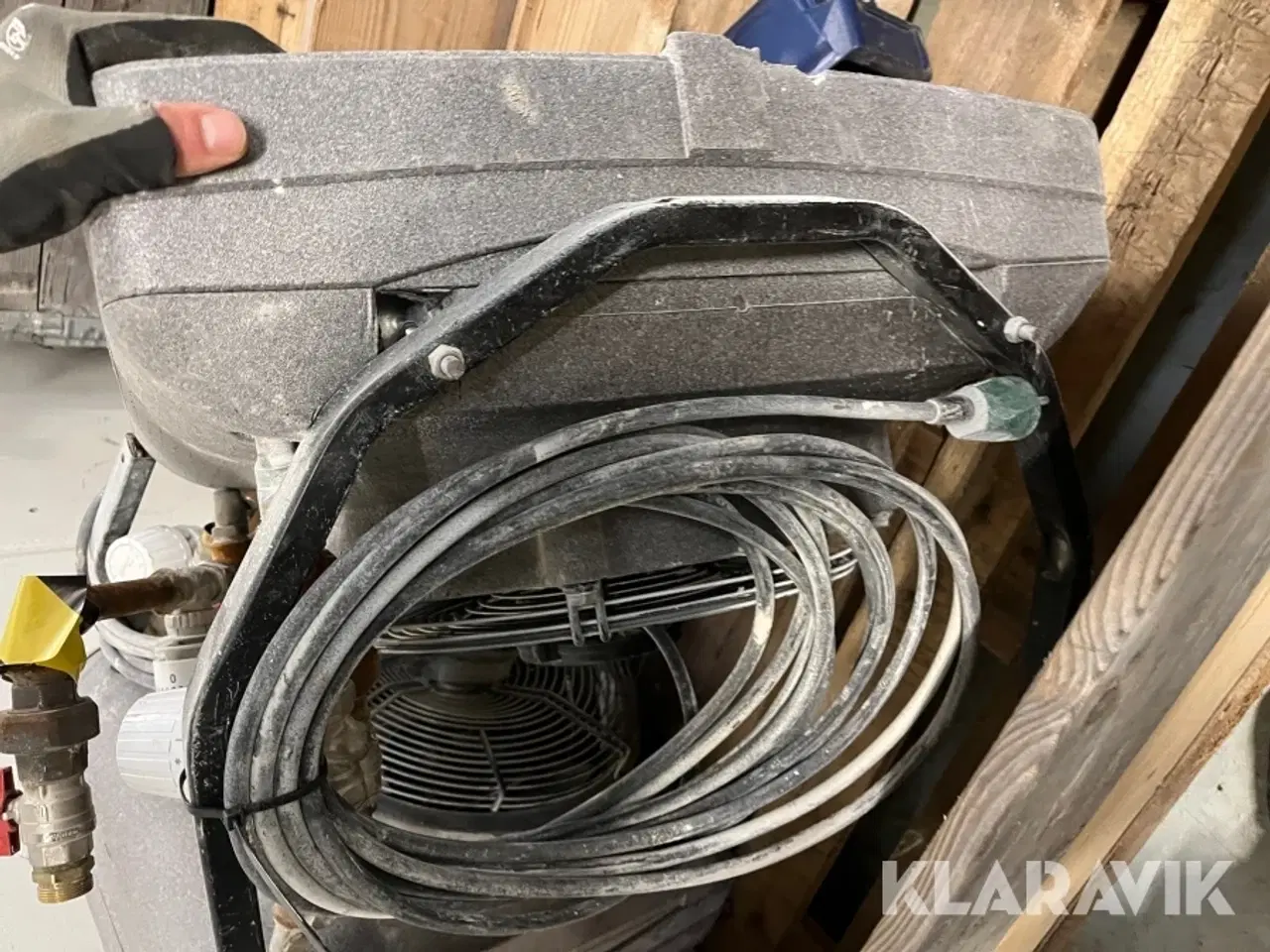 Billede 8 - Kaloiferer Gea og Sonniger 4 styk