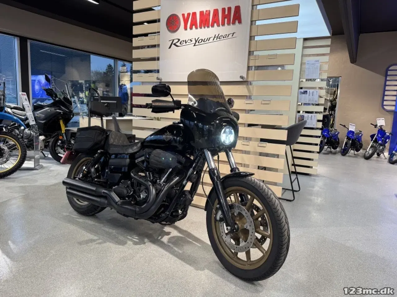 Billede 2 - Harley-Davidson FXDLS Dyna Low Rider S