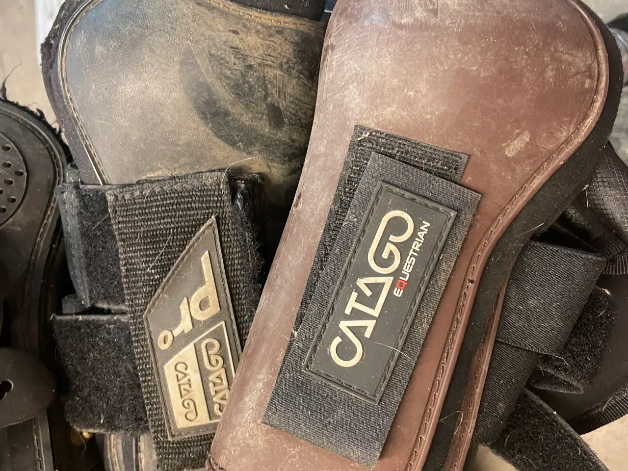 Billede 3 - Mange forskellige gamascher både dressur spring